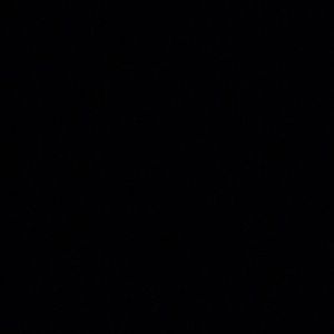 Meet your Posher, Gavin